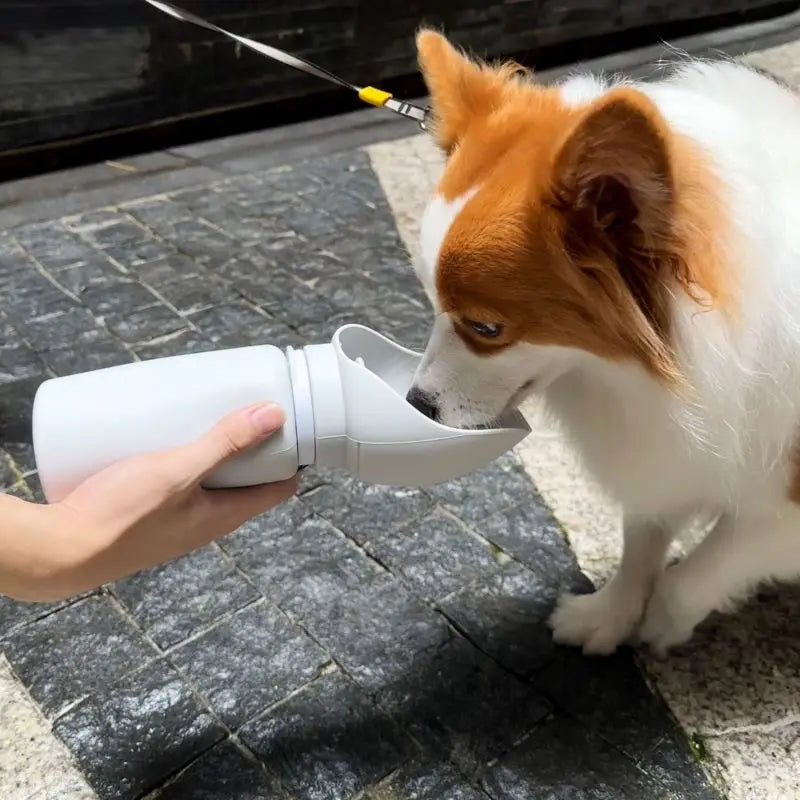 Outdoor Dog Water Bottle – 550ml Foldable Pet Cup with Large Drinking Trough | Leak-Proof, Portable & Easy-Clean (Light Grey)