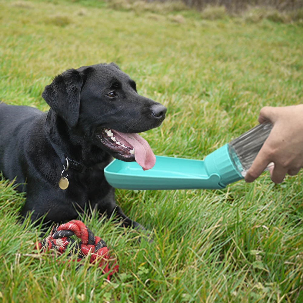 Outdoor Portable Dog Water Bottle – 550ml Leak-Proof Foldable Pet Drinking Bowl for Small, Medium & Large Dogs & Cats
