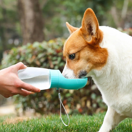 leak-proof cat drinking bottle