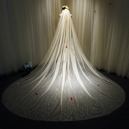 Bridal Veils Sparkly White Champagne Long Cathedral Glitter Wedding Veil With Comb